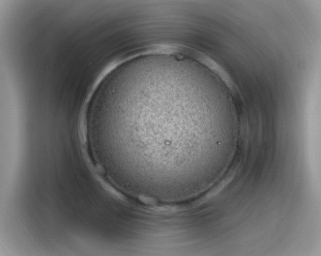X0000115611083200911171143