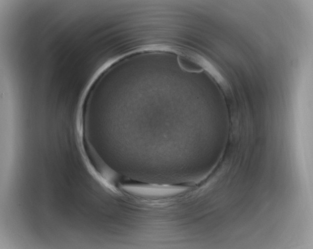 X0000115611084200911171143