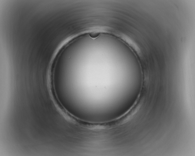 X0000115611085200911171143