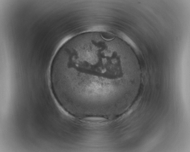 X0000115611087200911171143