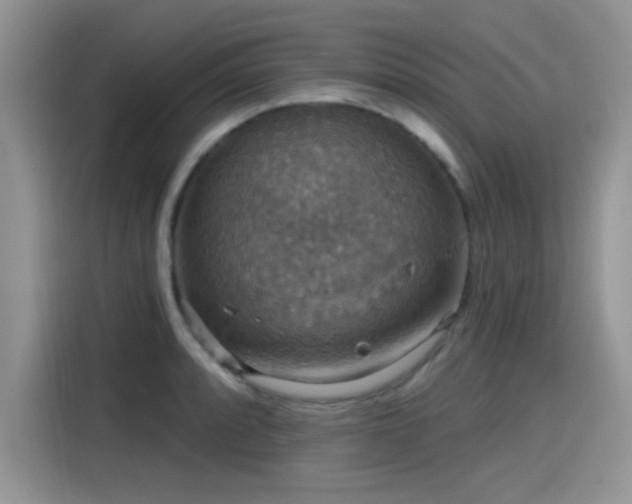 X0000115611088200911171143