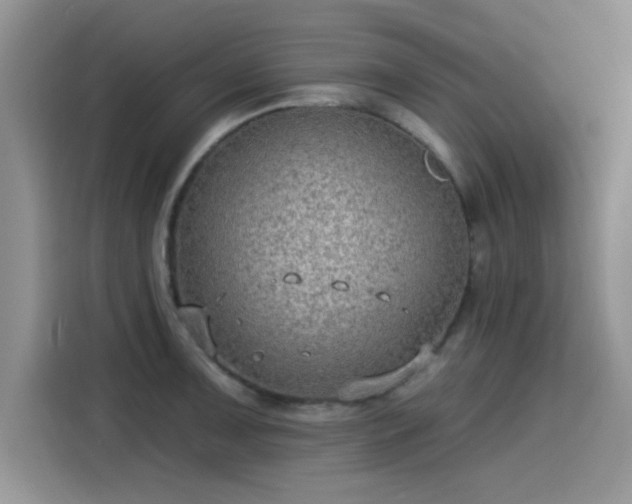 X0000115611091200911171143
