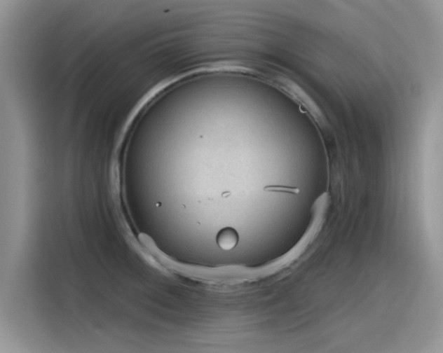 X0000115611092200911171143