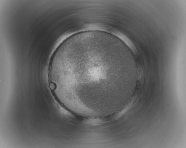 X0000115611094200911171143