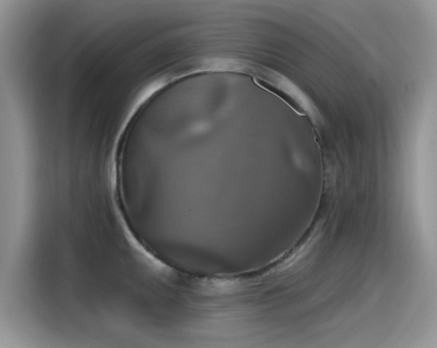 X0000115611095200911171143