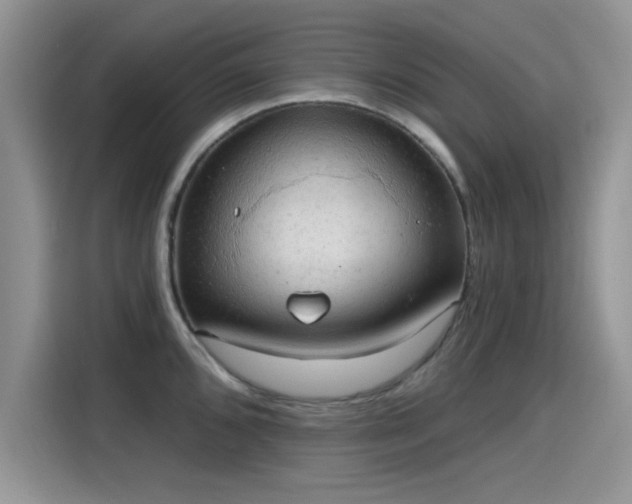 X0000115611096200911171143