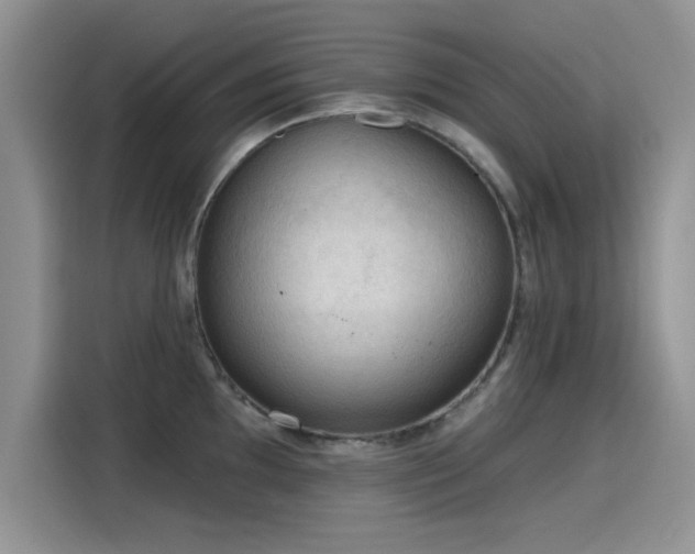 X0000115611097200911171143