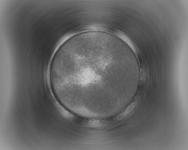 X0000115611098200911171143