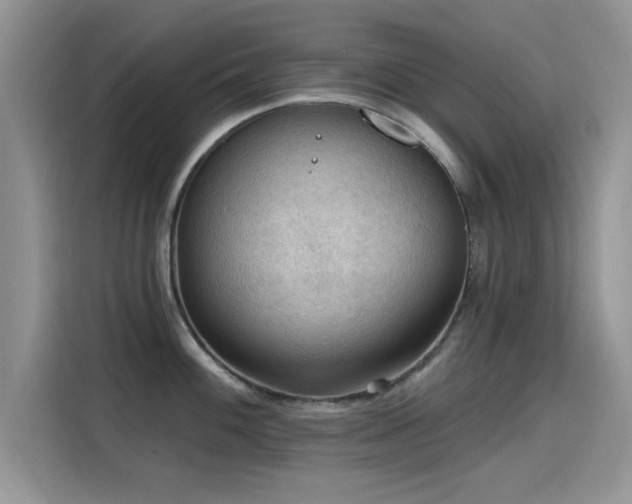X0000115611100200911171143