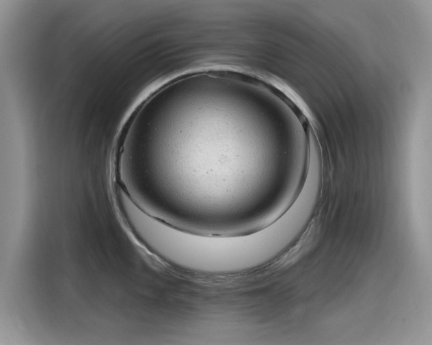 X0000115611101200911171143