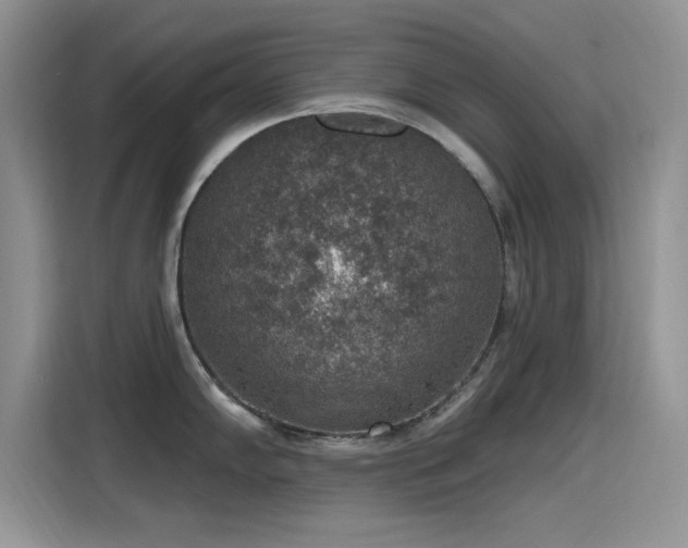 X0000115611102200911171143