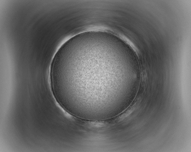 X0000115611103200911171143