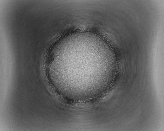 X0000115611105200911171142