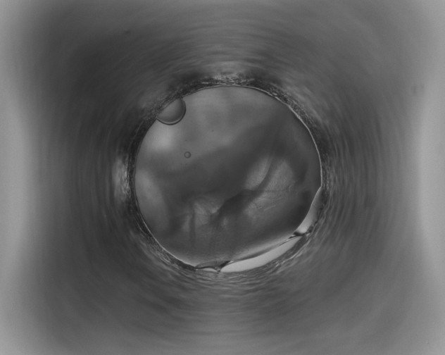 X0000115611106200911171142
