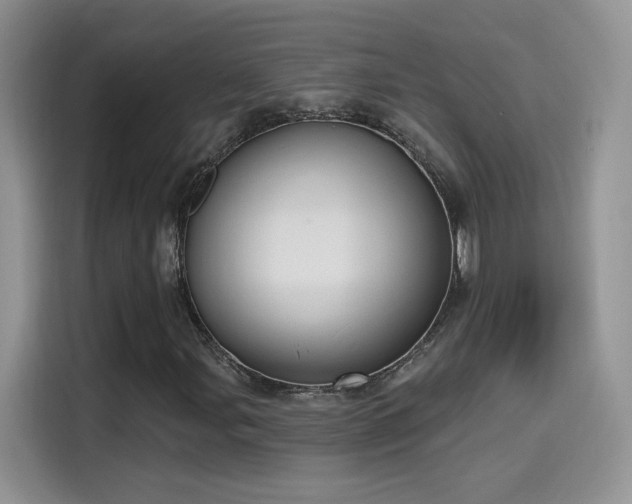 X0000115611107200911171142