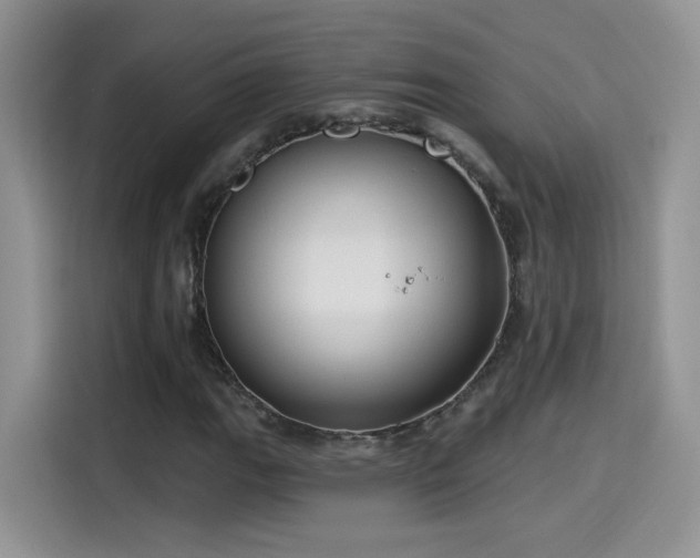 X0000115611111200911171142