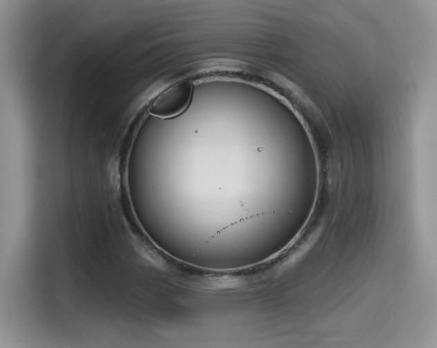 X0000115611113200911171143