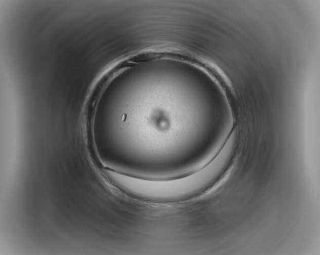 X0000115611114200911171143