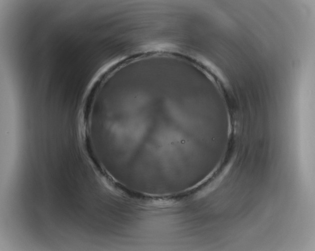 X0000115611117200911171143