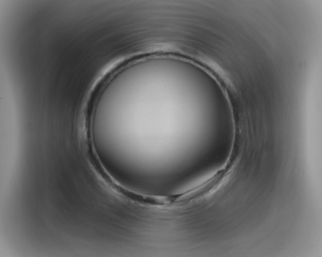 X0000115611118200911171143