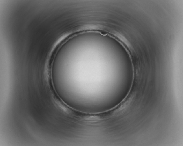 X0000115611119200911171143