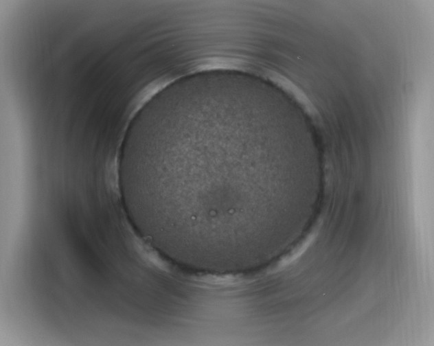 X0000115611121200911171143