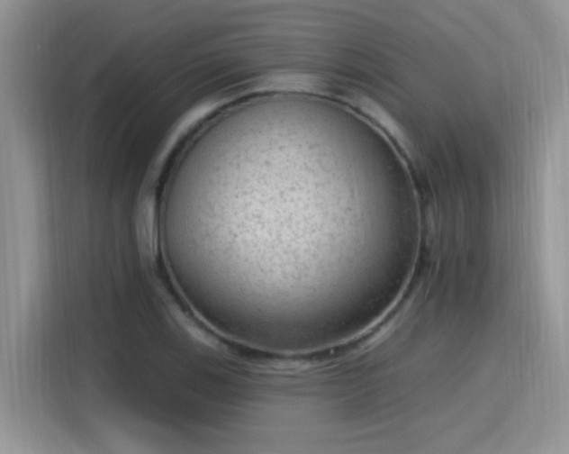 X0000115611123200911171143
