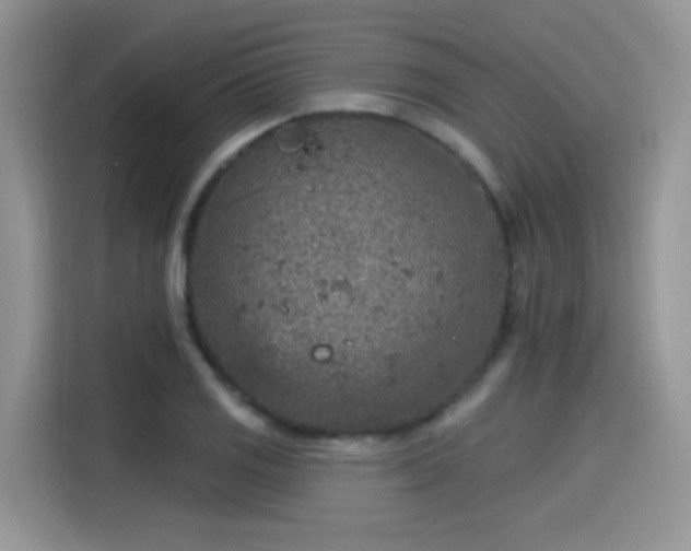 X0000115611125200911171143