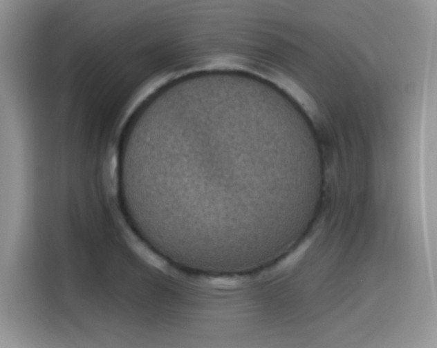 X0000115611126200911171143