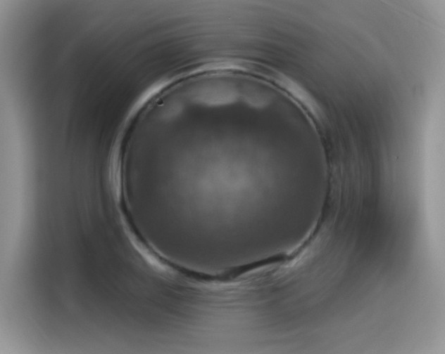 X0000115611127200911171143
