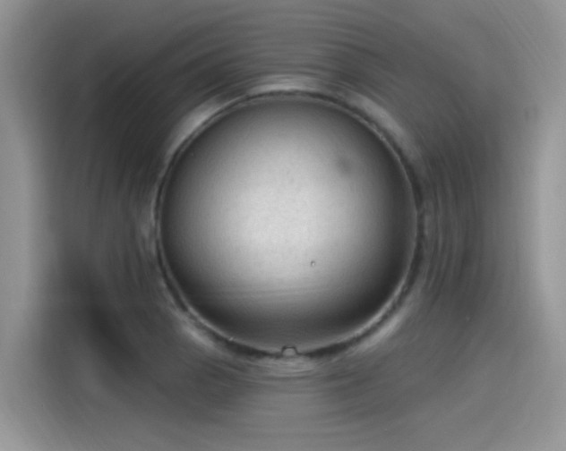 X0000115611129200911171143