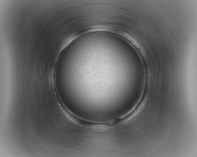 X0000115611137200911171143
