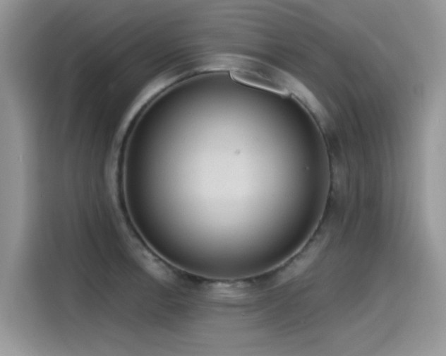 X0000115611138200911171143