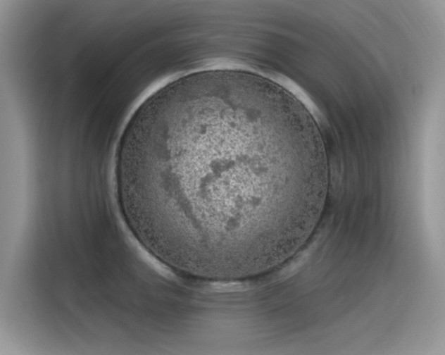 X0000115611142200911171143