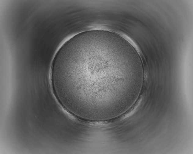 X0000115611149200911171143