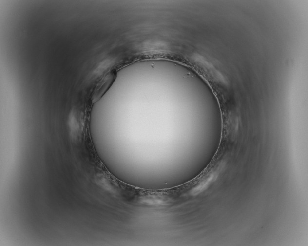 X0000115611157200911171142