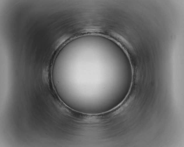 X0000115611162200911171142