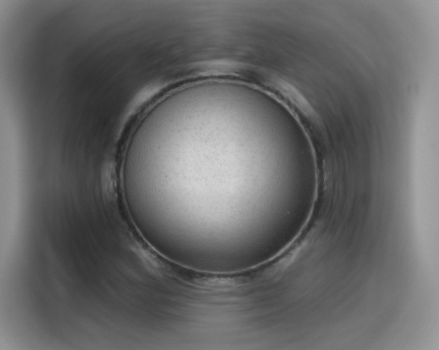 X0000115611164200911171142