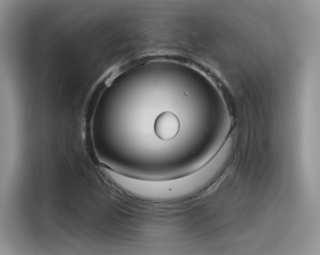 X0000115611165200911171142