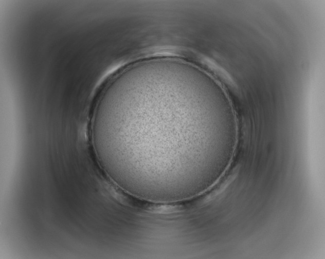 X0000115611166200911171142