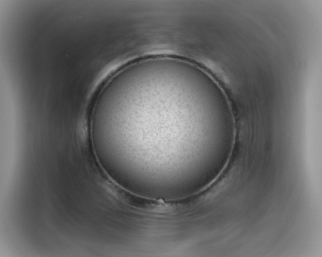 X0000115611167200911171142