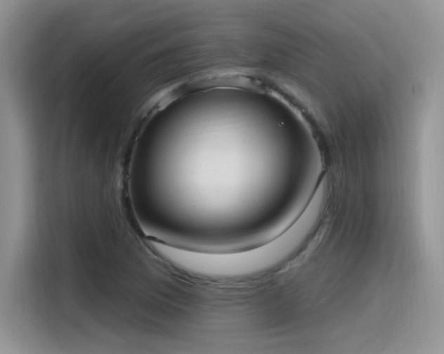 X0000115611169200911171142
