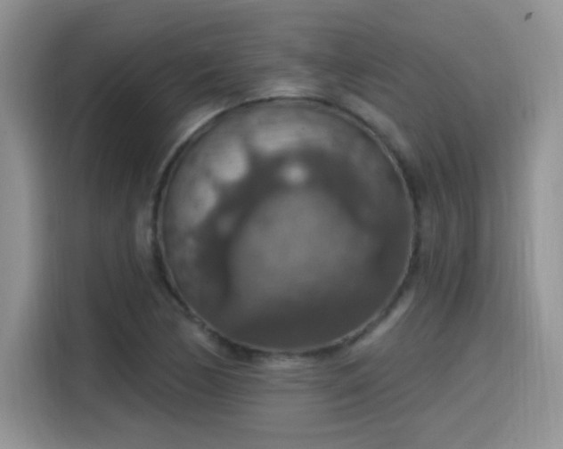 X0000115611170200911171142