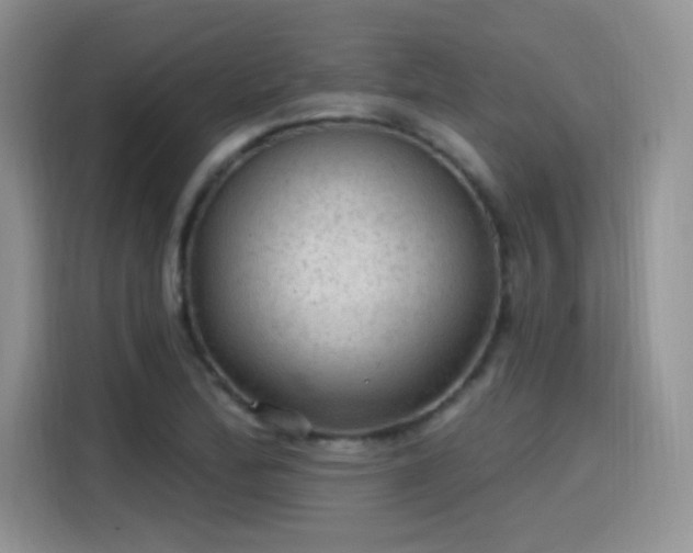 X0000115611172200911171142