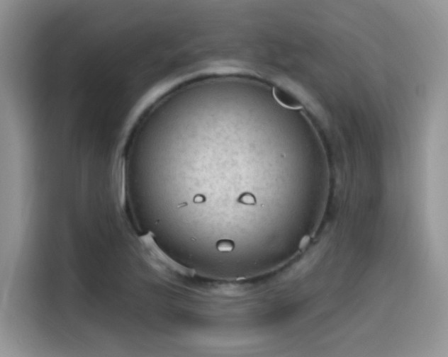 X0000115611175200911171142