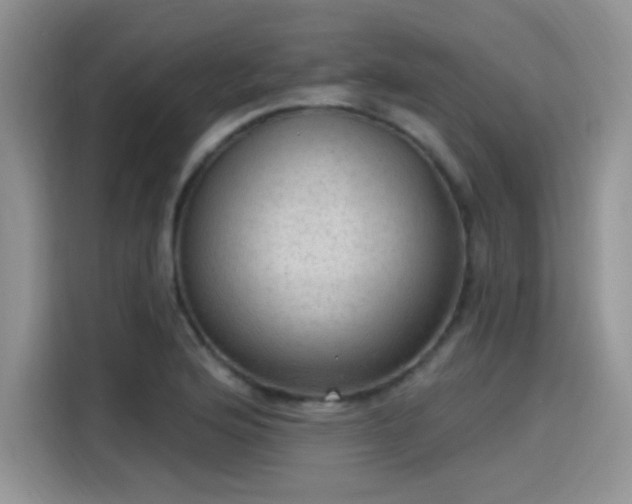X0000115611176200911171142
