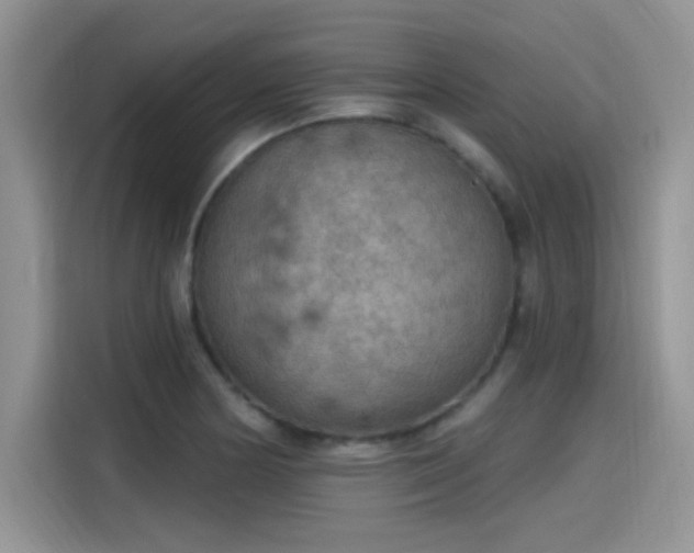 X0000115611178200911171142