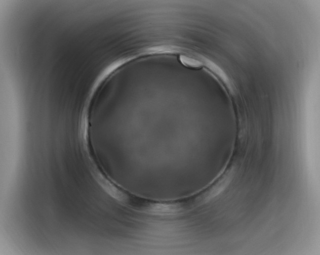 X0000115611179200911171142