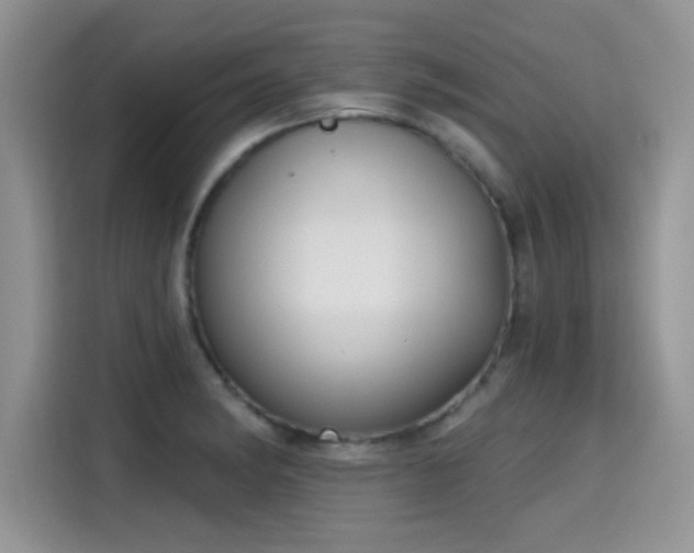 X0000115611182200911171142