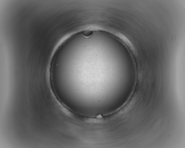 X0000115611183200911171142